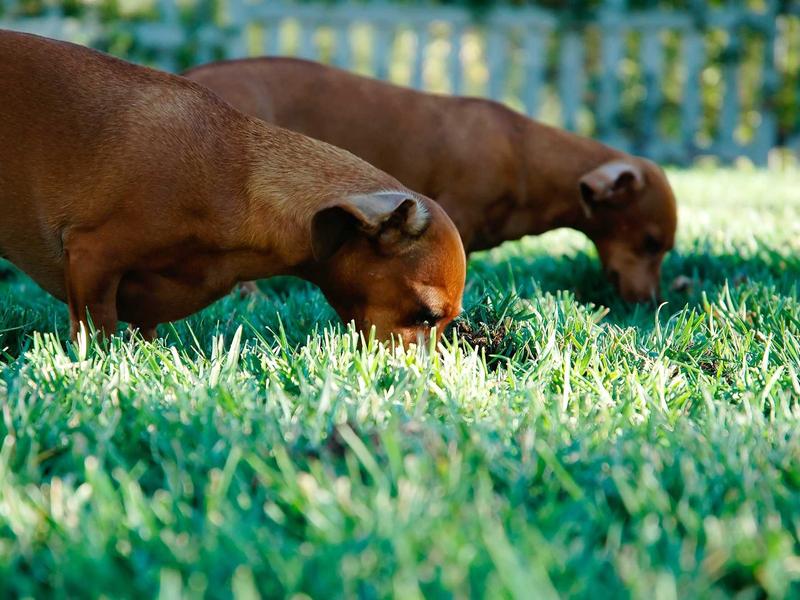 鲁迅呐喊<br>ujcbtdu.cn 铁屋子里的闷雷